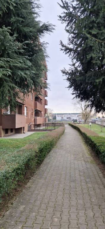 immagine annuncio 9 di 11