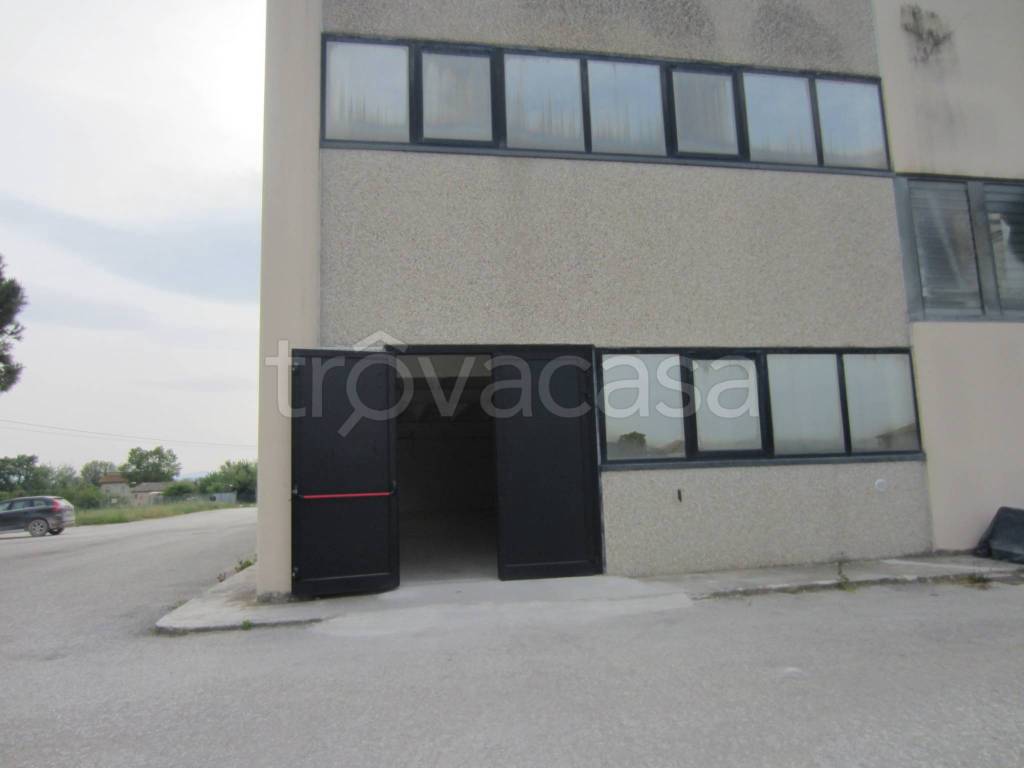 immagine annuncio 9 di 13