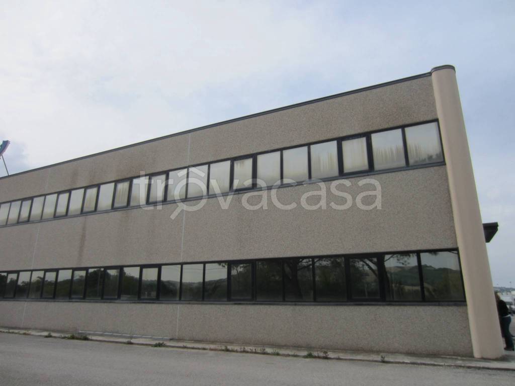 immagine annuncio 11 di 14