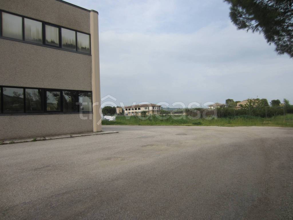 immagine annuncio 12 di 14