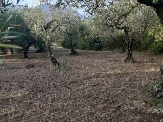 Terreno agricolo in vendita a formia via ponteritto, 61