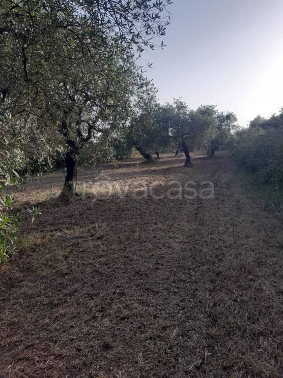 immagine annuncio 6 di 7
