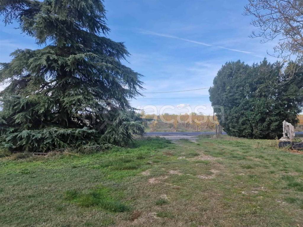 immagine annuncio 2 di 7