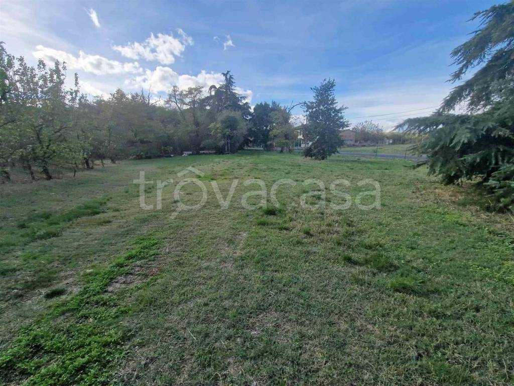 immagine annuncio 3 di 7