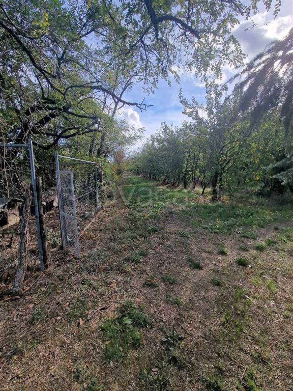 immagine annuncio 4 di 7