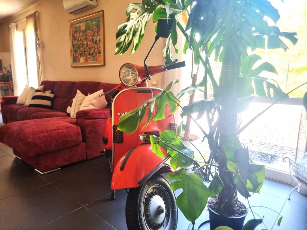 immagine annuncio 13 di 15