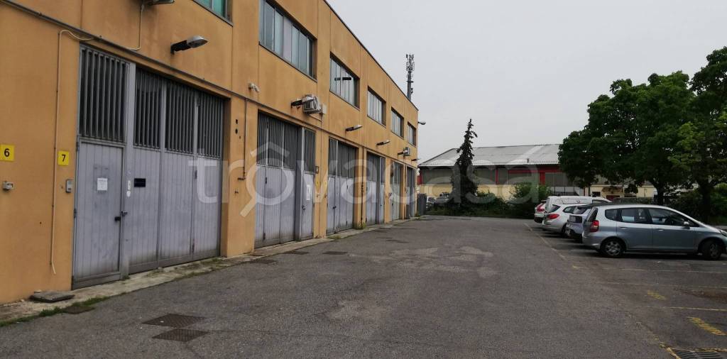 immagine annuncio 6 di 9