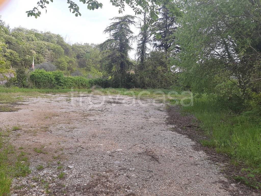 immagine annuncio 3 di 8