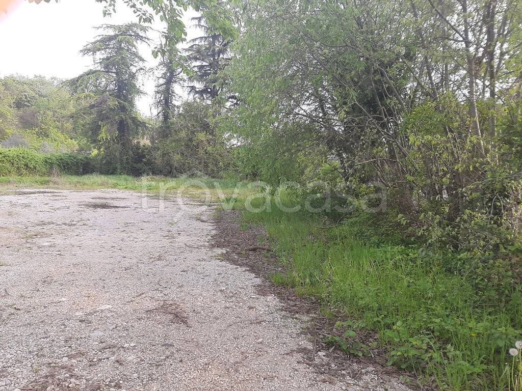 immagine annuncio 4 di 8