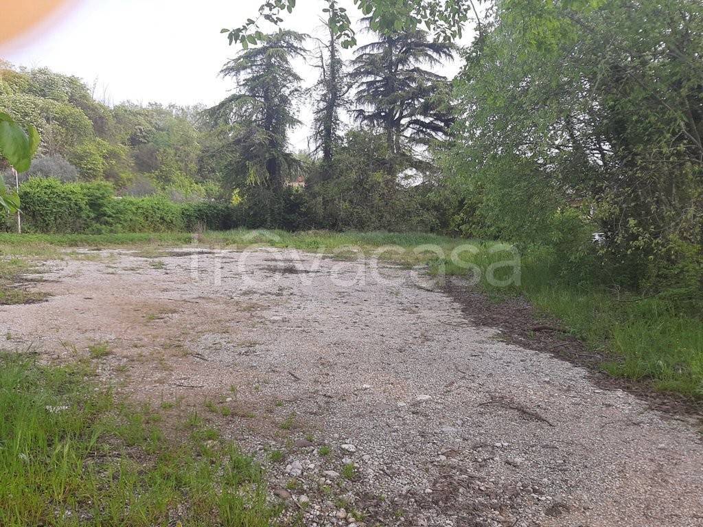 immagine annuncio 5 di 8