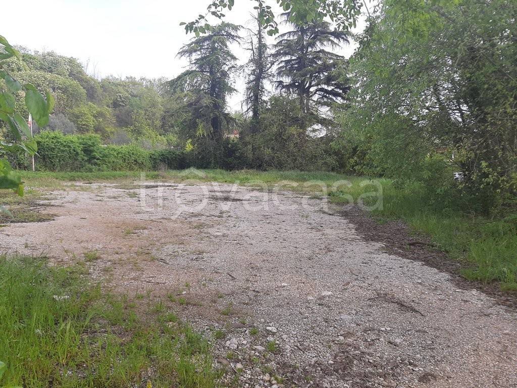 immagine annuncio 7 di 8