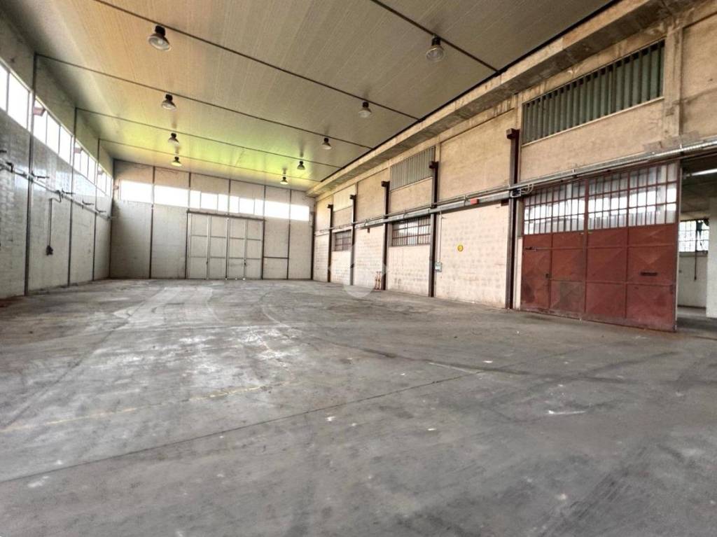 immagine annuncio 4 di 15