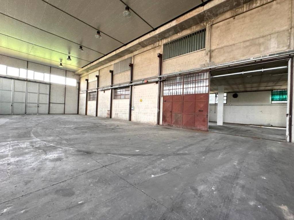 immagine annuncio 9 di 15