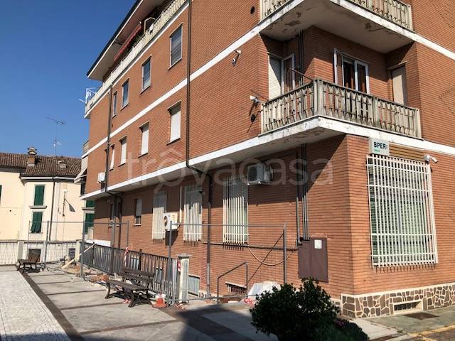immagine annuncio 11 di 14