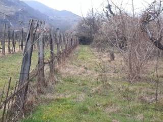 Terreno agricolo in vendita a bussoleno strada ravoiretta