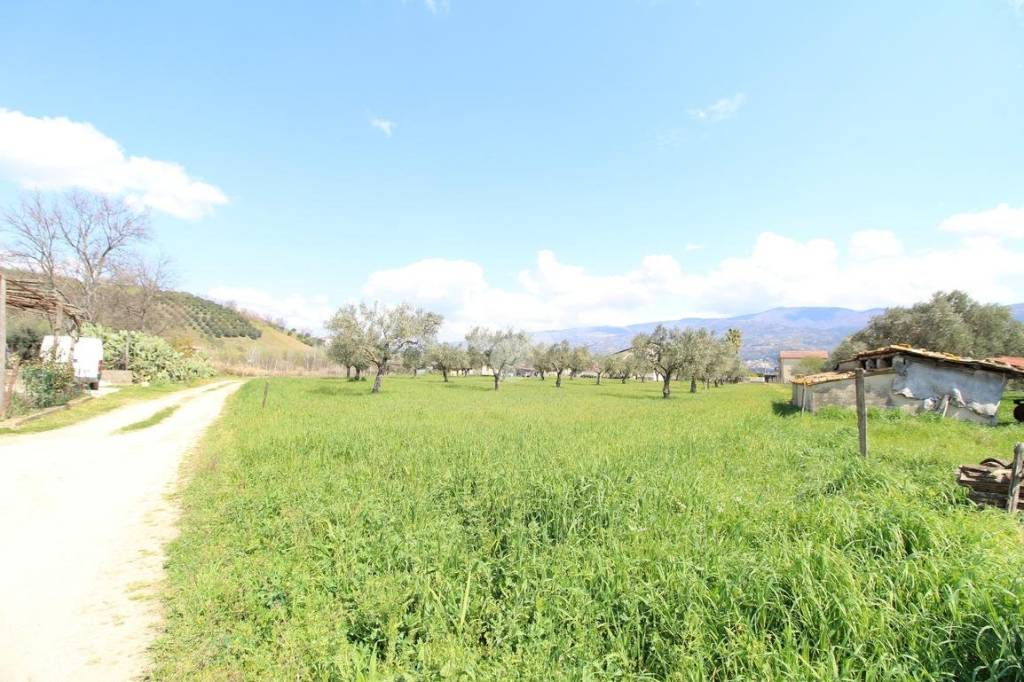 immagine annuncio 7 di 11