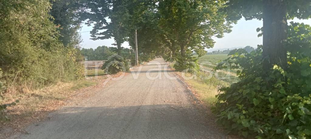 immagine annuncio 5 di 7