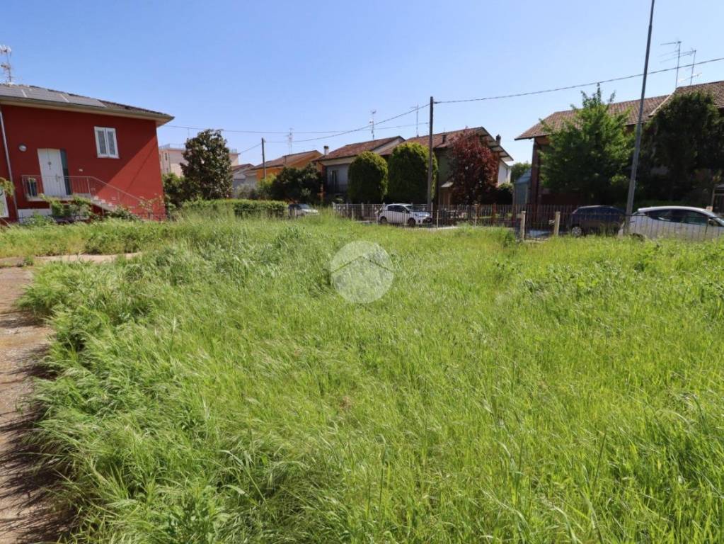 immagine annuncio 4 di 12