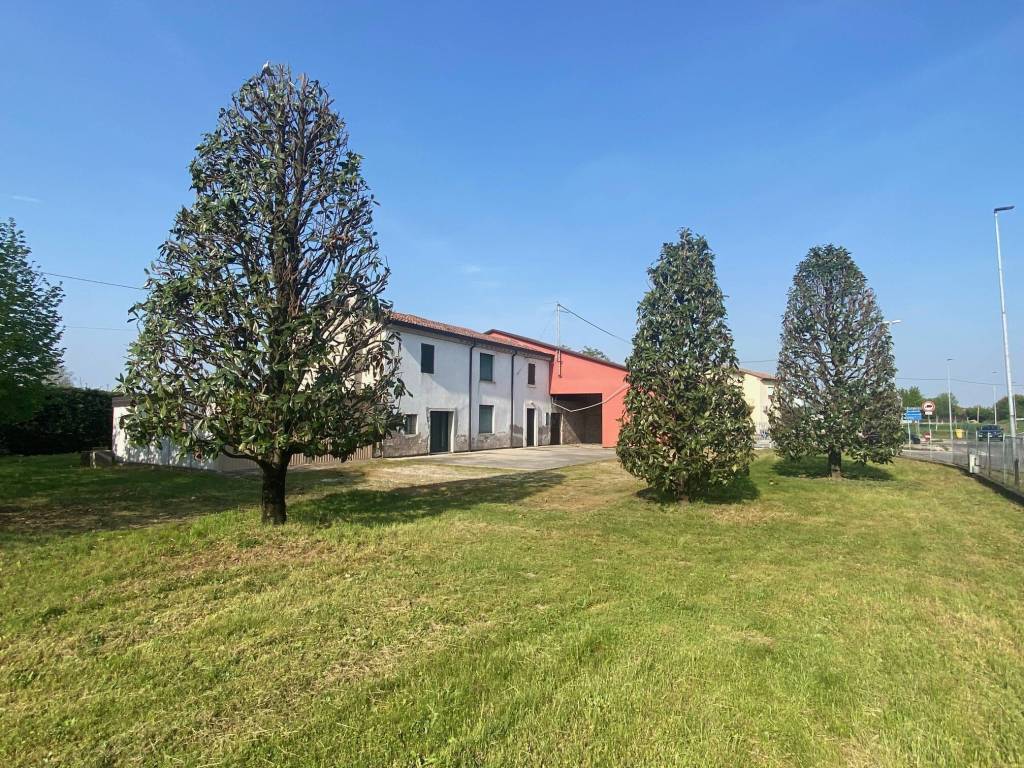 immagine annuncio 9 di 11