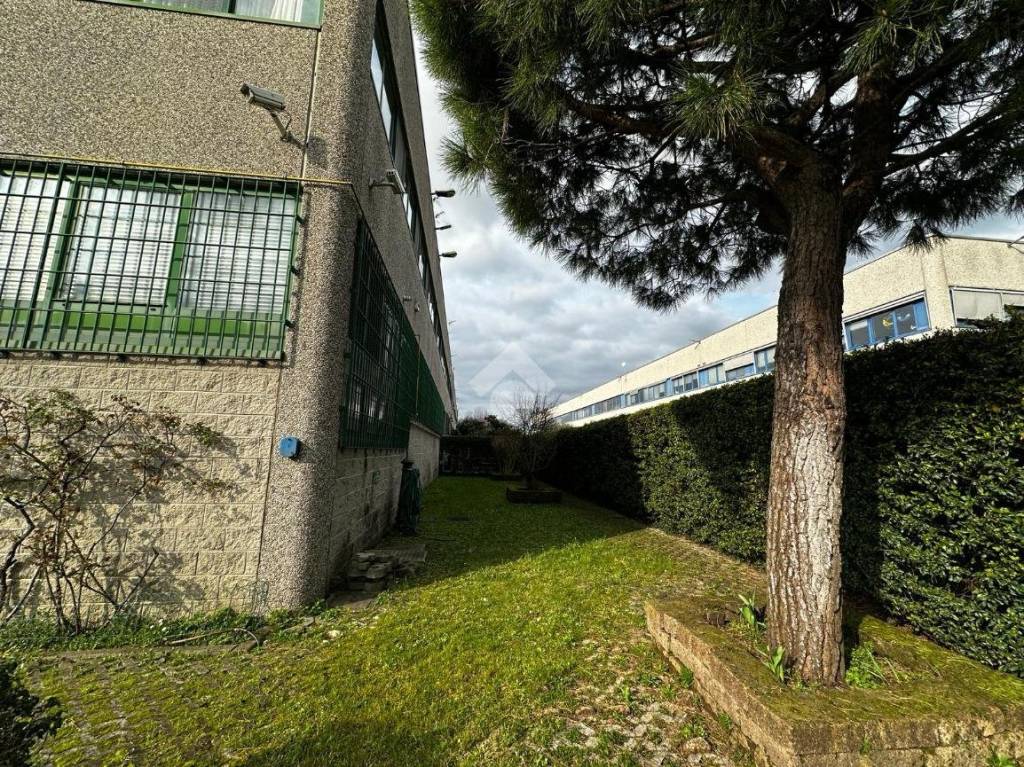 immagine annuncio 2 di 15