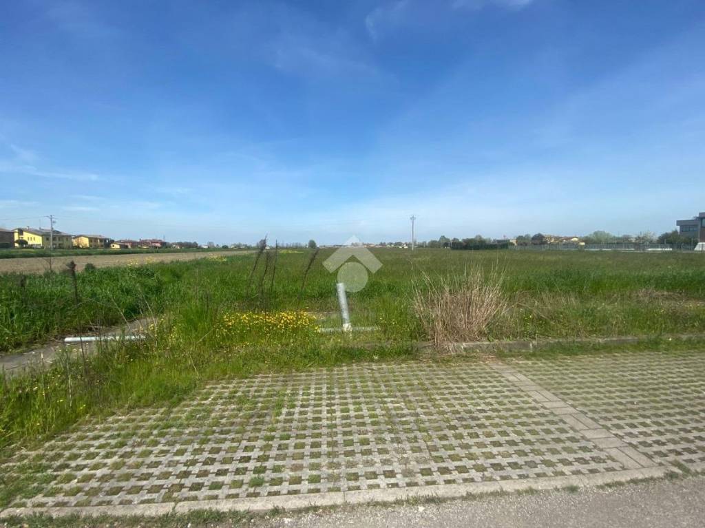 immagine annuncio 2 di 3