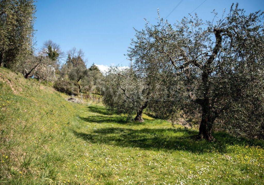immagine annuncio 7 di 9
