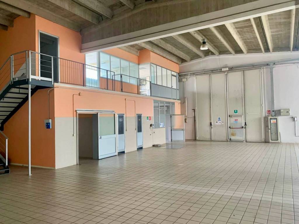 immagine annuncio 8 di 15