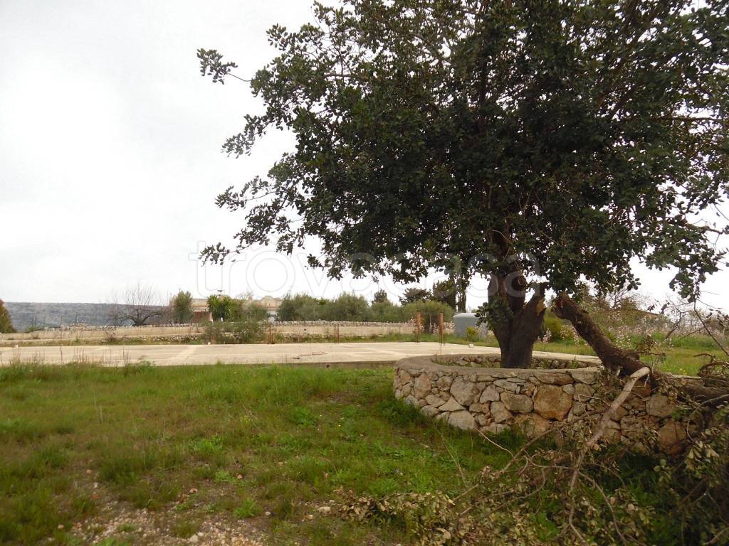 immagine annuncio 10 di 14