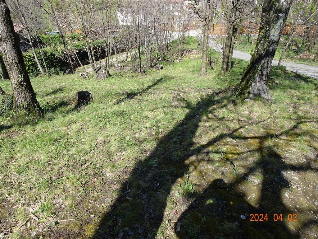 immagine annuncio 11 di 13