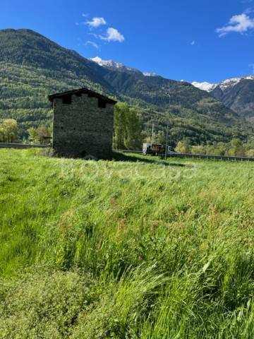 immagine annuncio 6 di 9