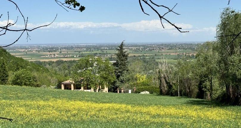 immagine annuncio 4 di 8