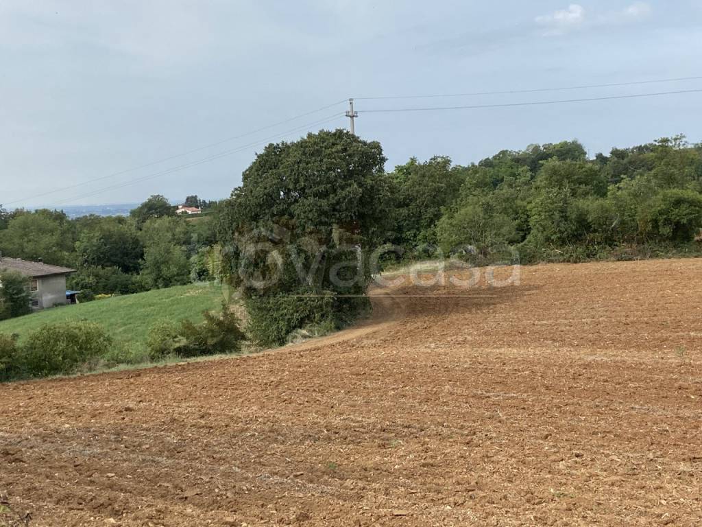 immagine annuncio 3 di 8