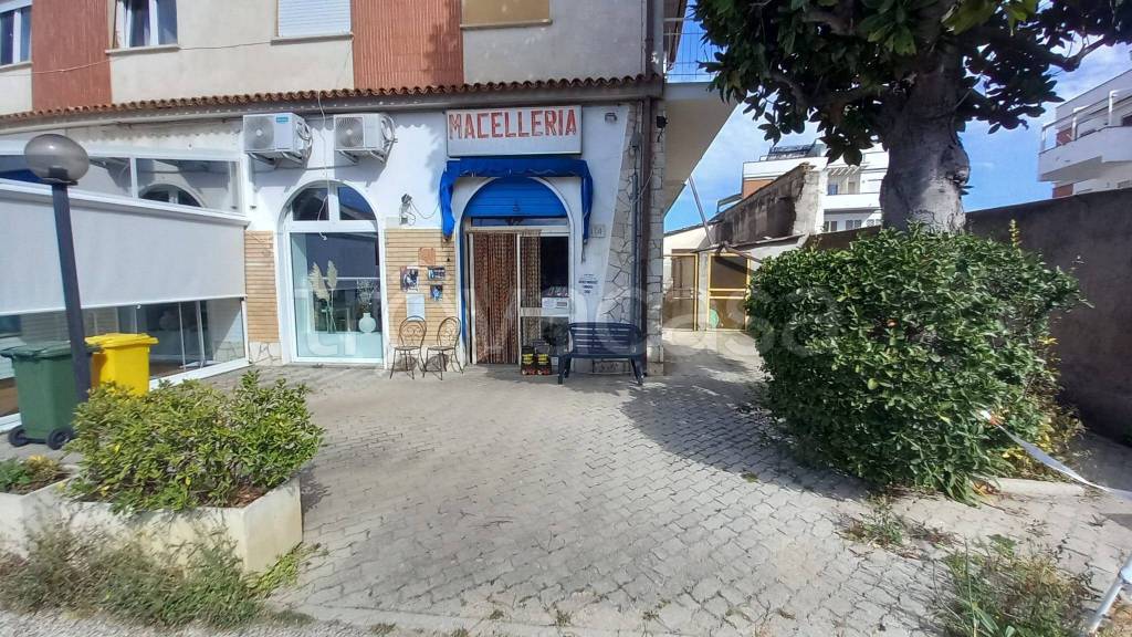 immagine annuncio 1 di 7
