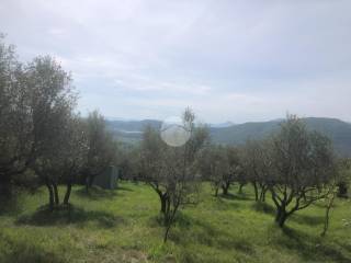 Terreno residenziale in vendita a fiuggi via delle mediole