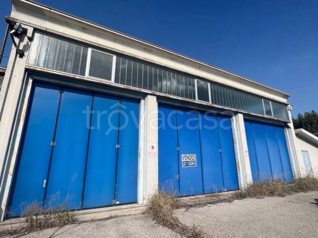 immagine annuncio 6 di 10