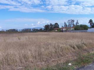 Terreno agricolo in vendita a latina via istrice