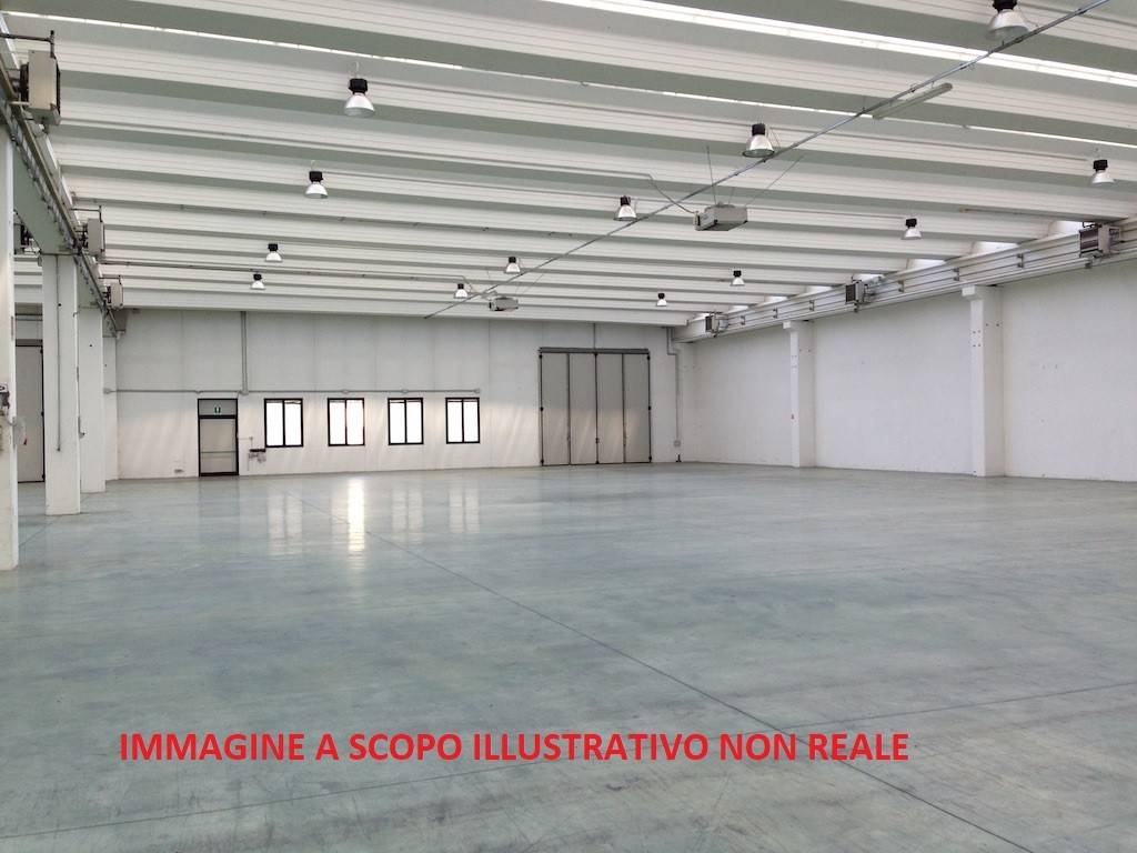 immagine annuncio 3 di 7