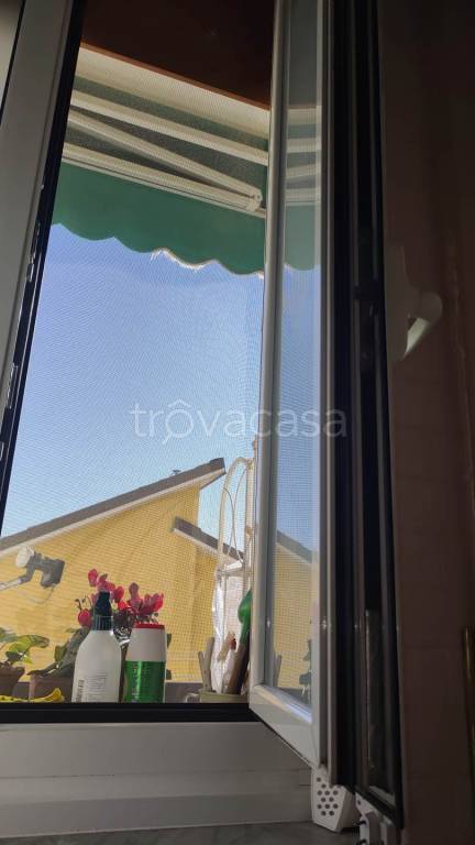immagine annuncio 5 di 8