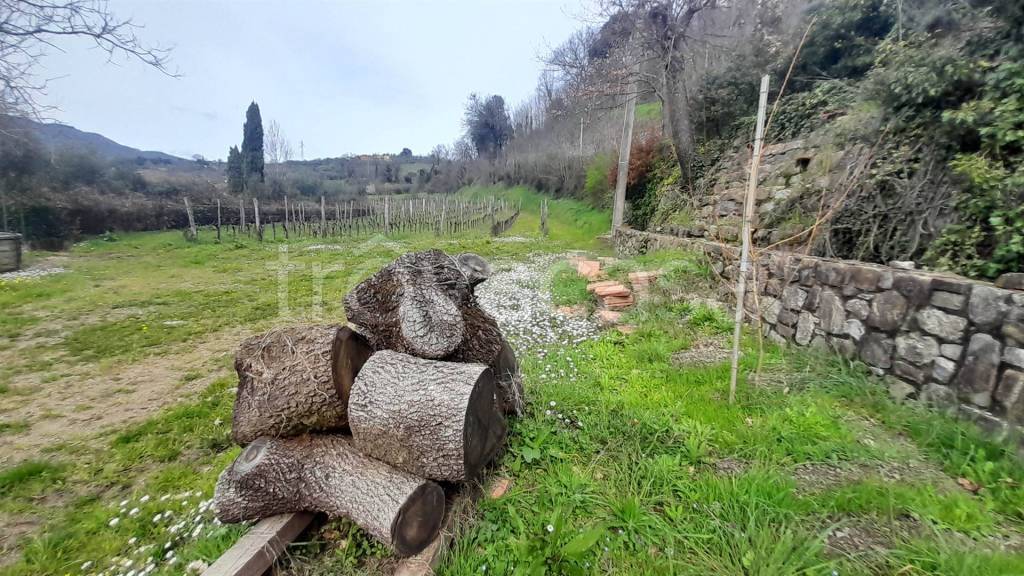 immagine annuncio 2 di 6