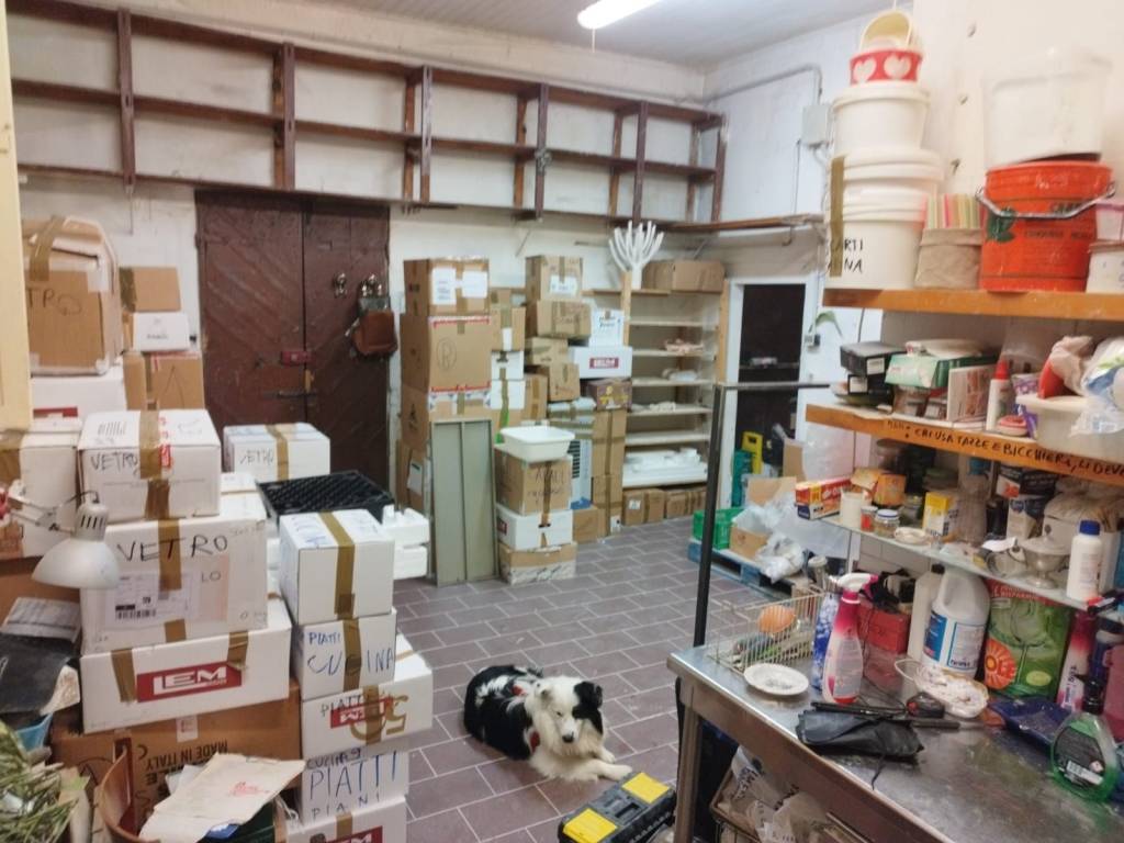 immagine annuncio 3 di 6