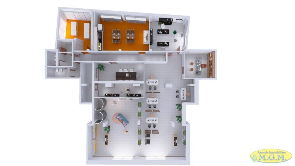 immagine annuncio 1 di 15