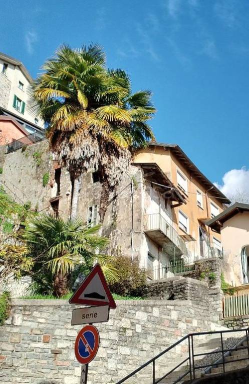 immagine annuncio 11 di 14