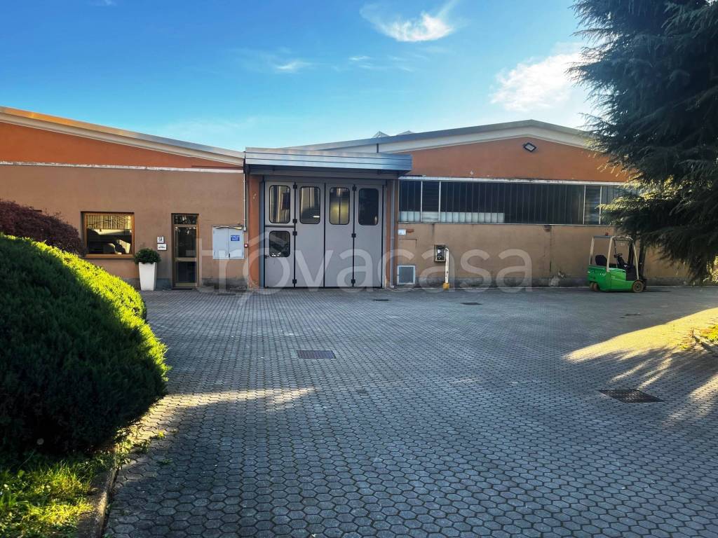 immagine annuncio 9 di 15