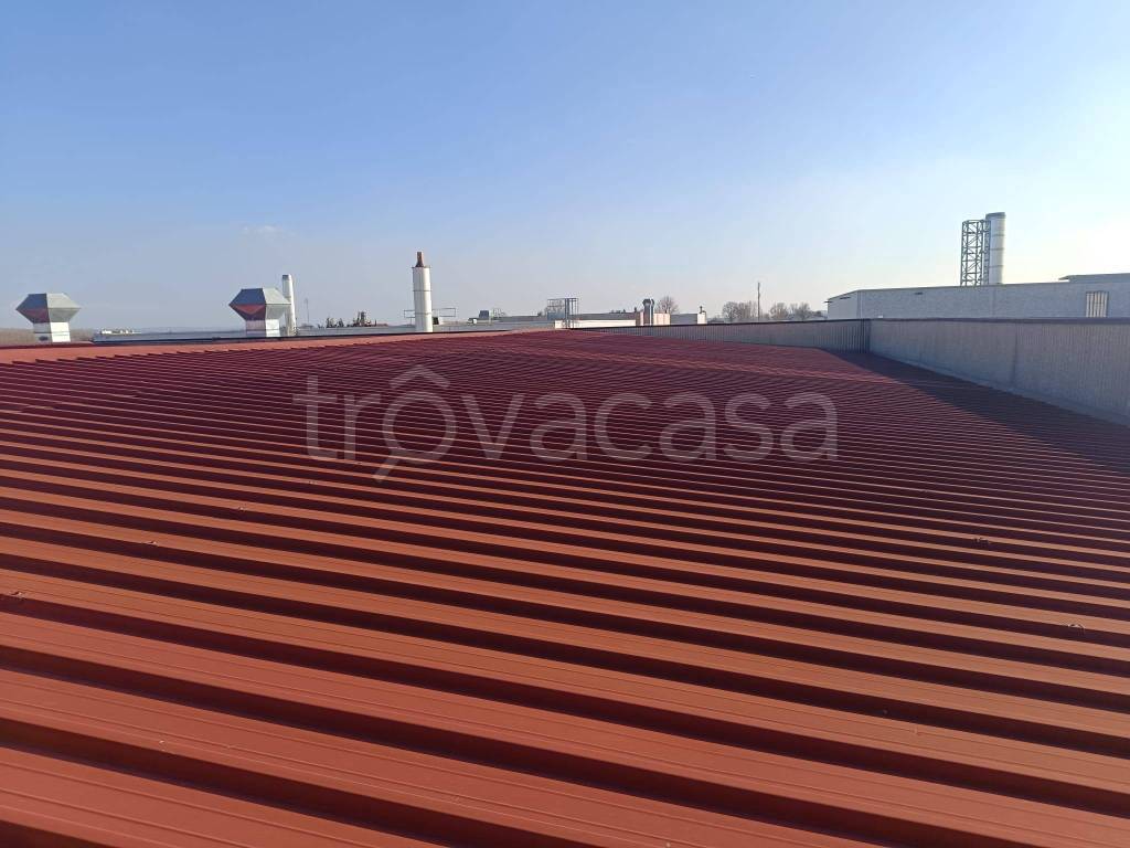 immagine annuncio 7 di 13