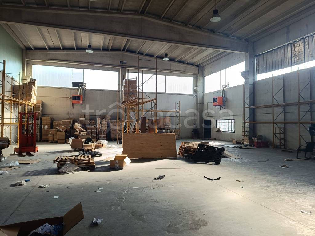 immagine annuncio 11 di 13