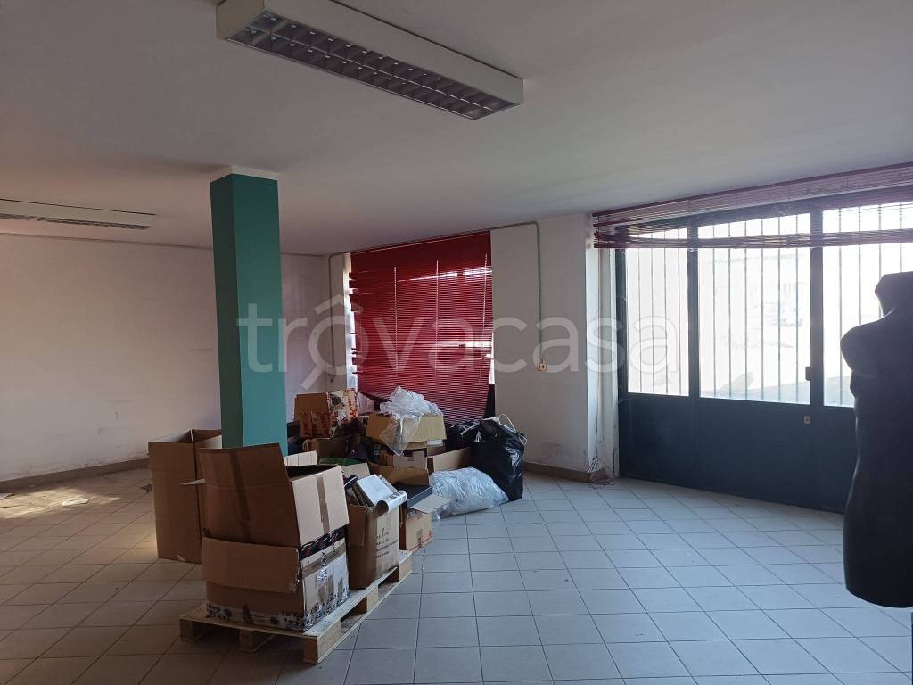 immagine annuncio 12 di 13