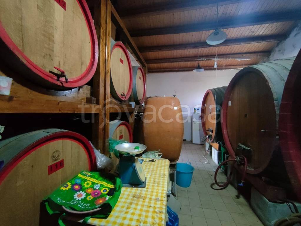 immagine annuncio 5 di 13