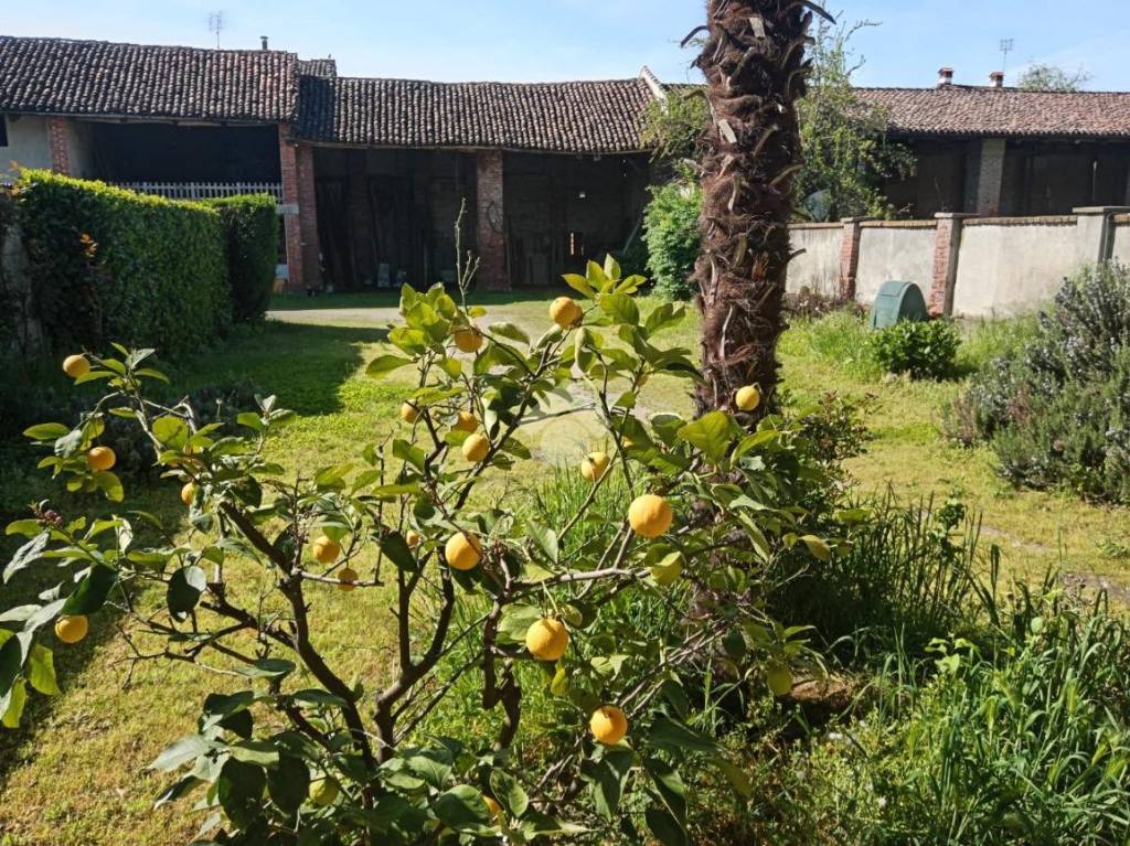 immagine annuncio 11 di 15
