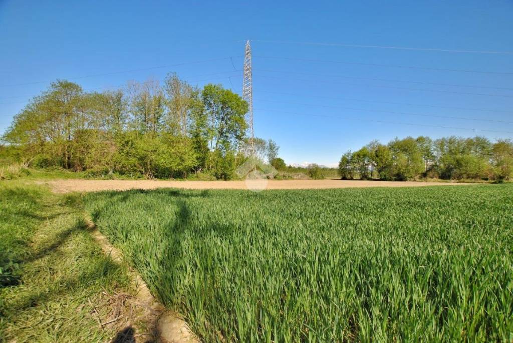 immagine annuncio 3 di 11