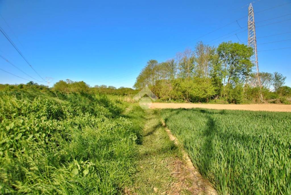 immagine annuncio 4 di 11